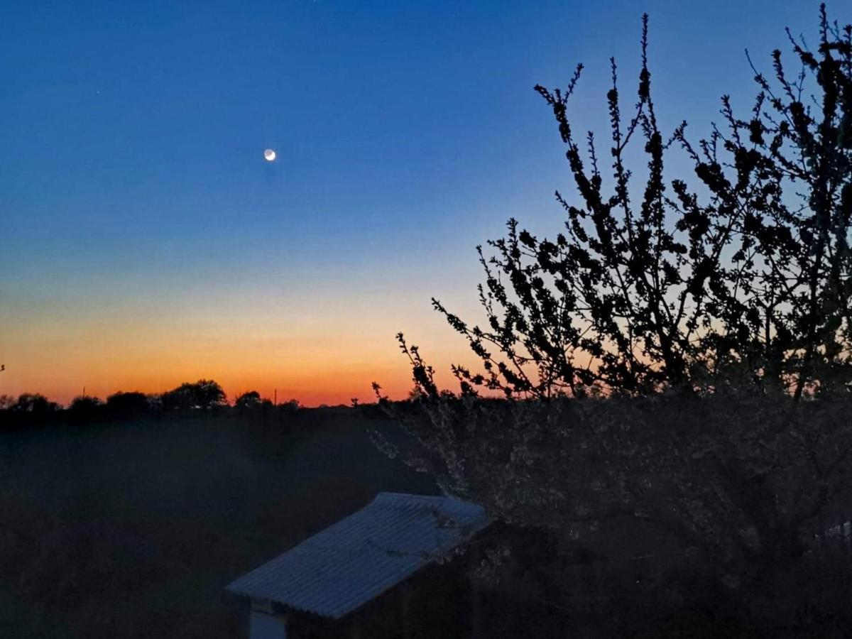Gite Mimosa Saint-Florent-des-Bois المظهر الخارجي الصورة