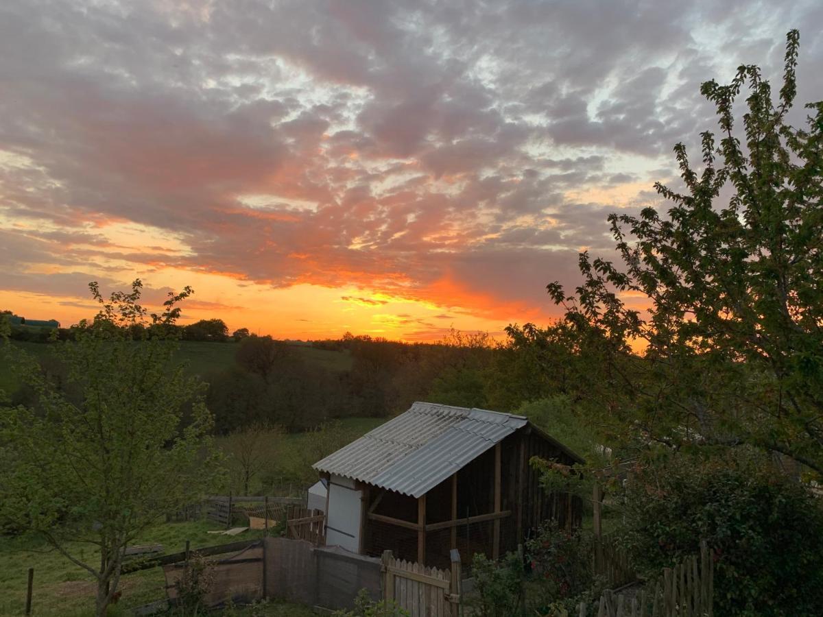 Gite Mimosa Saint-Florent-des-Bois المظهر الخارجي الصورة